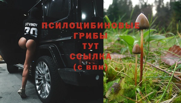 герыч Кинешма