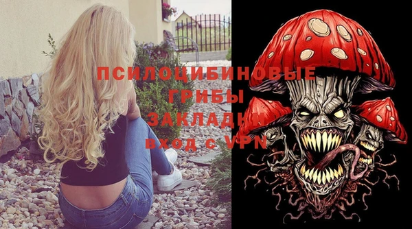 герыч Кинешма